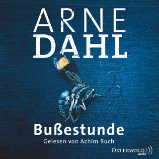 Arne Dahl: Bußestunde (A-Team 10)