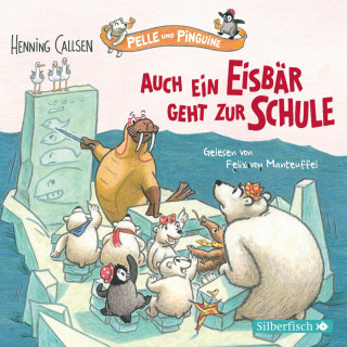 Henning Callsen: Pelle und Pinguine 2: Auch ein Eisbär geht zur Schule