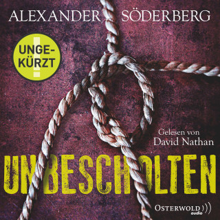Alexander Söderberg: Unbescholten (Die Sophie-Brinkmann-Trilogie 1)