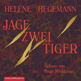 Helene Hegemann: Jage zwei Tiger