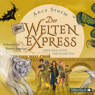 Anca Sturm: Der Welten-Express - Zwischen Licht und Schatten (Der Welten-Express 2)
