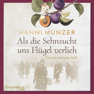 Hanni Münzer: Als die Sehnsucht uns Flügel verlieh (Heimat-Saga 2)