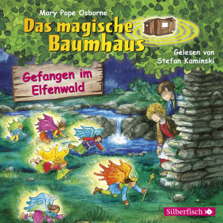 Mary Pope Osborne: Gefangen im Elfenwald (Das magische Baumhaus 41)
