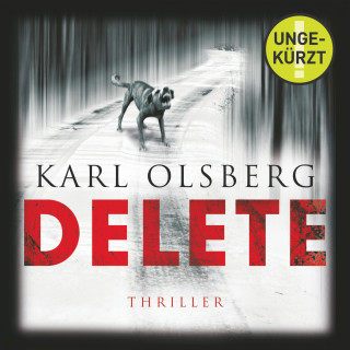Karl Olsberg: Delete