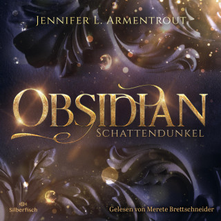 Jennifer L. Armentrout: Obsidian 1: Obsidian