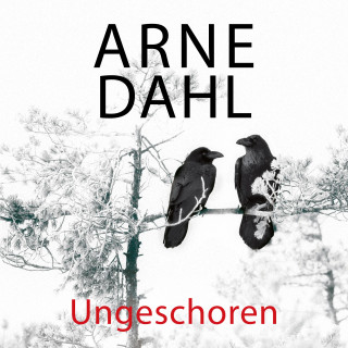 Arne Dahl: Ungeschoren (A-Team 6)
