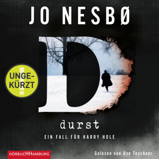 Jo Nesbø: Durst (Ein Harry-Hole-Krimi 11)