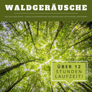 Yella A. Deeken: Waldgeräusche mit und ohne Musik (XXL Bundle)