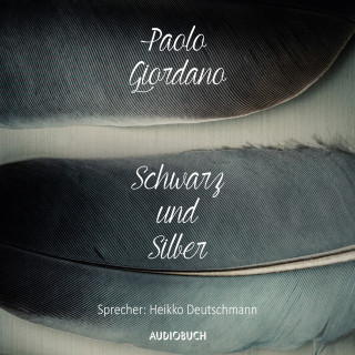 Paolo Giordano: Schwarz und Silber