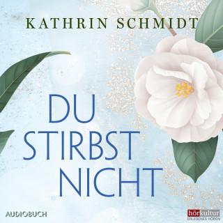 Kathrin Schmidt: Du stirbst nicht