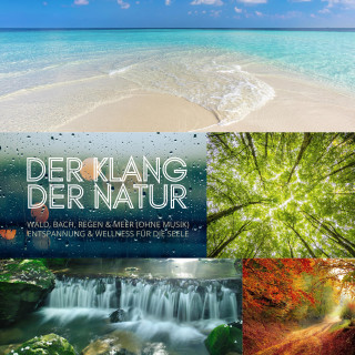 Digitales Archiv für Naturgeräusche: Der Klang der Natur - Wald, Bach, Regen & Meer (ohne Musik) - XXL-Bundle