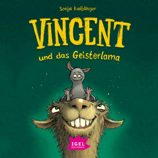 Sonja Kaiblinger: Vincent und das Geisterlama