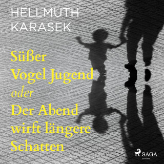 Hellmuth Karasek: Süßer Vogel Jugend oder Der Abend wirft längere Schatten