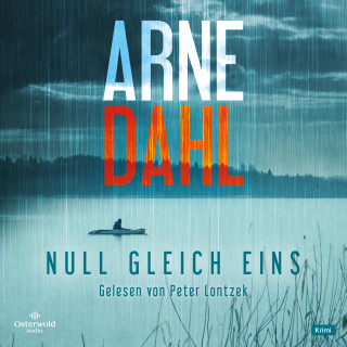 Arne Dahl: Null gleich eins (Berger & Blom 5)