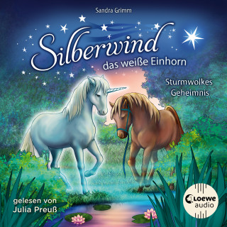 Sandra Grimm: Silberwind, das weiße Einhorn (Band 4) - Sturmwolkes Geheimnis
