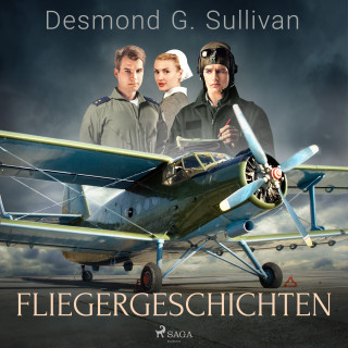 Desmond G. Sullivan: Fliegergeschichten