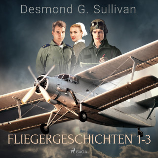 Desmond G. Sullivan: Fliegergeschichten 1-3