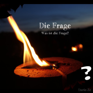 Dario Ze: Die Frage