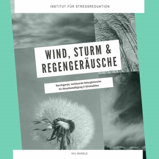 Institut für Stressabbau: Wind, Sturm & Regengeräusche: Beruhigende, wohltuende Naturgeräusche für Stressbewältigung & Stressabbau