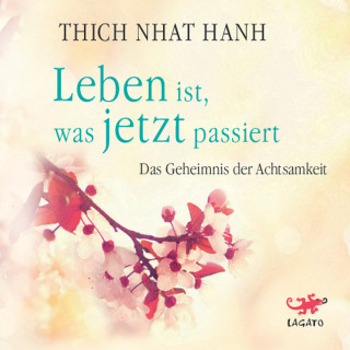 Thich Nhat Hanh: Leben ist, was jetzt passiert