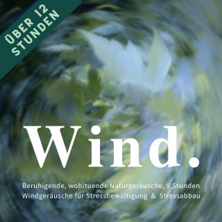 Privates Archiv für Naturgeräusche: Wind & Windgeräusche: Beruhigende, wohltuende Naturgeräusche für Stressreduktion, Stressvermeidung & Stressabbau