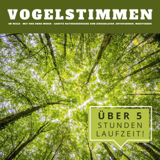 Naturgeräusche Archiv Potsdam: Vogelstimmen im Wald: Sanfte Naturgeräusche zum Einschlafen, Entspannen, Meditieren
