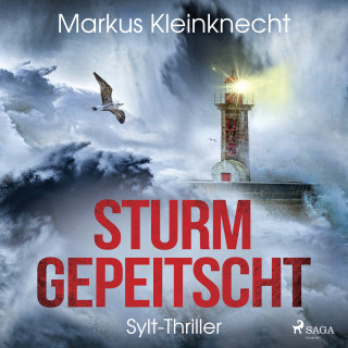 Markus Kleinknecht: Sturmgepeitscht: Sylt-Thriller