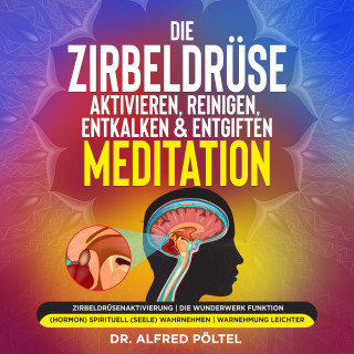 Dr. Alfred Pöltel: Die Zirbeldrüse aktivieren, reinigen, entkalken & entgiften - Meditation