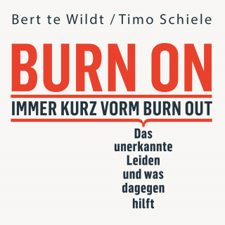 Bert te Wildt, Timo Schiele: Burn On: Immer kurz vorm Burn Out
