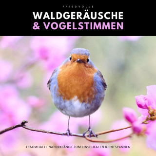 Naturklänge Manufaktur: Friedvolle Waldgeräusche & Vogelstimmen