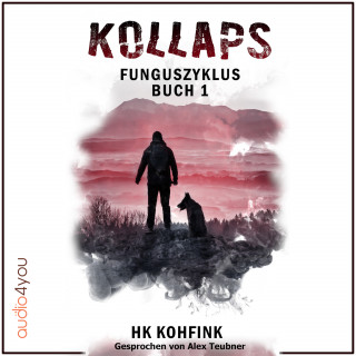 Heiko Kohfink: KOLLAPS