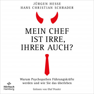 Jürgen Hesse, Hans Christian Schrader: Mein Chef ist irre − Ihrer auch?