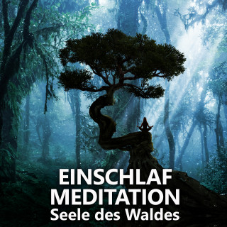 Raphael Kempermann: Einschlafmeditation | Seele des Waldes