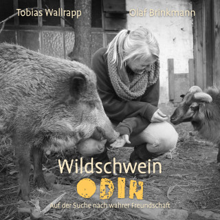 Tobias Wallrapp: Wildschwein Odin