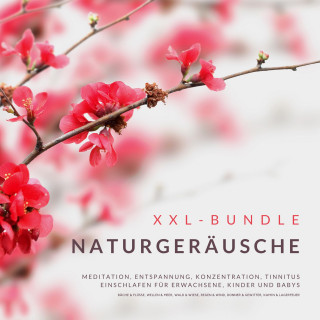 Institut für Entspannungstechniken: XXL-Bundle: Naturgeräusche