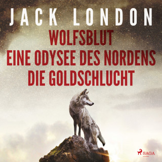 Jack London: Klassiker to go: Jack London: Wolfsblut, Die Goldschlucht, Eine Odysee des Nordens