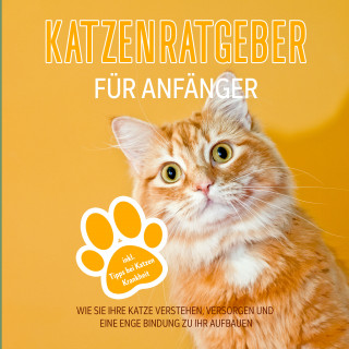 Matthias Stolz: Katzenratgeber für Anfänger: Wie Sie Ihre Katze verstehen, versorgen und eine enge Bindung zu Ihr aufbauen - inkl. Tipps bei Katzen Krankheit