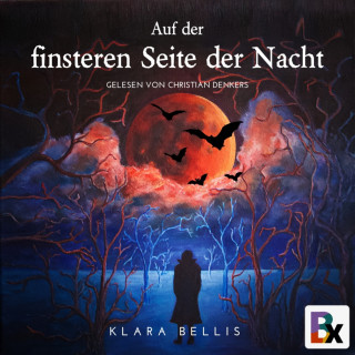 Klara Bellis: Auf der finsteren Seite der Nacht