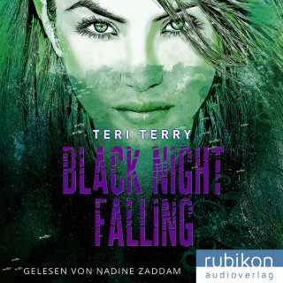 Teri Terry: Black Night Falling