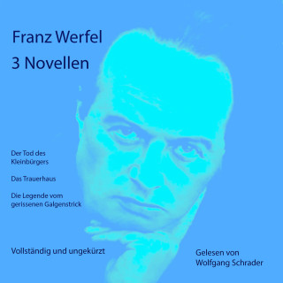 Franz Werfel: 3 Novellen