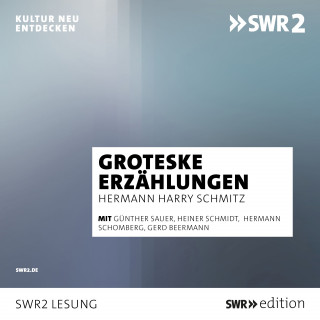 Hermann Harry Schmitz: Groteske Erzählungen