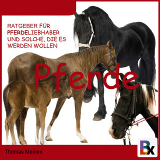 Thomas Meinen: Ratgeber für Pferde-Liebhaber und solche, die es werden wollen