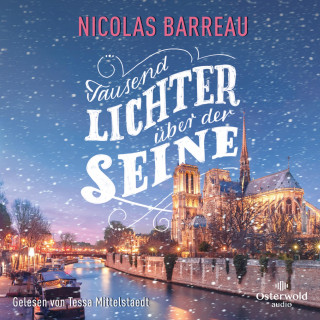 Nicolas Barreau: Tausend Lichter über der Seine