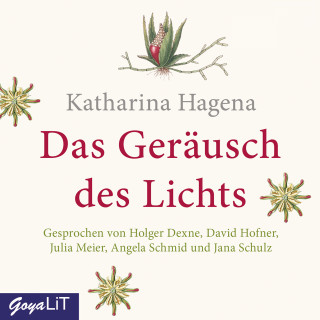 Katharina Hagena: Das Geräusch des Lichts