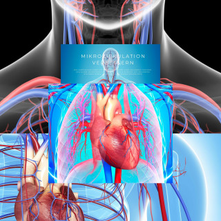 Powerful Methods to Awaken Selfhealing: Mikrozirkulation verbessern, das kardiovaskuläre System stärken, Herz-Hirn-Kohärenz fördern