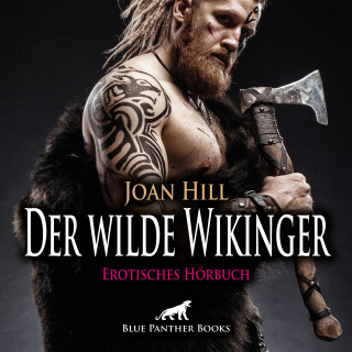 Joan Hill: Der wilde Wikinger / Erotik Audio Story / Erotisches Hörbuch