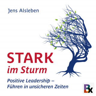 Jens Alsleben: Stark im Sturm