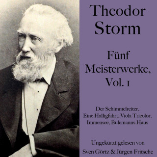 Theodor Storm: Theodor Storm: Fünf Meisterwerke, Vol. 1