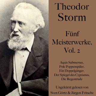 Theodor Storm: Theodor Storm: Fünf Meisterwerke, Vol. 2