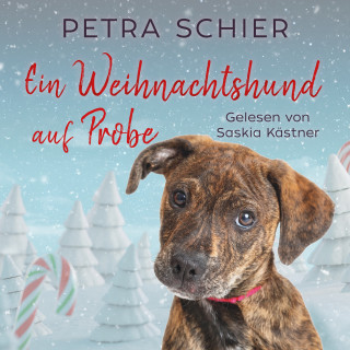 Petra Schier: Ein Weihnachtshund auf Probe